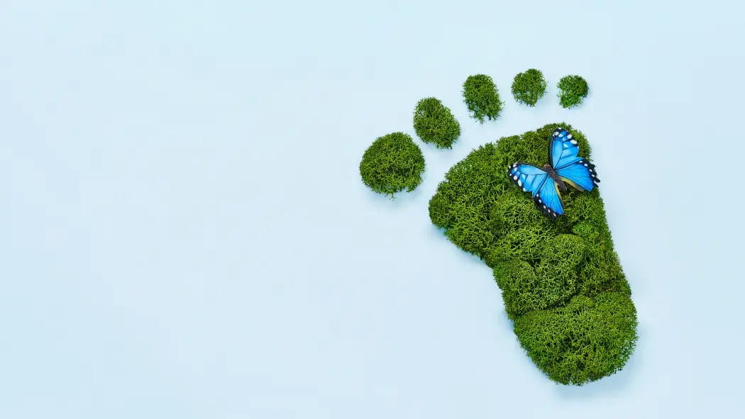 A footprint made from grass