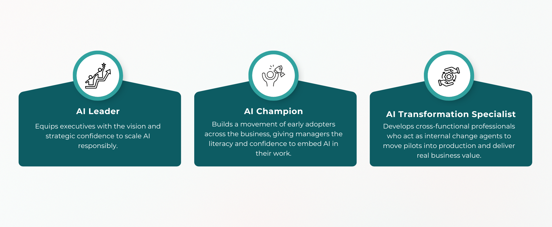 Cambridge Spark AI Leadership (1)