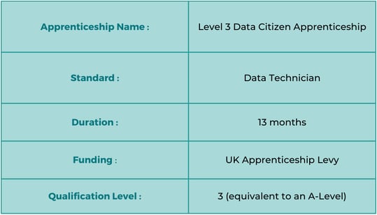 Table showing an overview of the Data Citizen Apprenticeship following the Data Technician standard