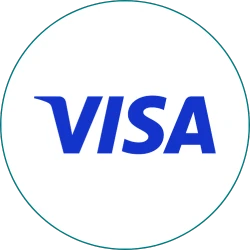 Visa logo on white background with green circular outline