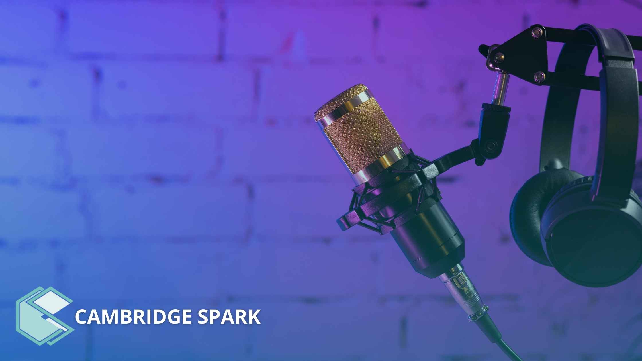 Podcast: The Importance of Building Digital Capability in the NHS